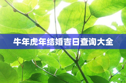 牛年虎年结婚吉日查询大全