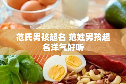 范氏男孩起名 范姓男孩起名洋气好听