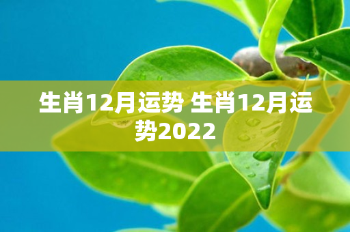 生肖12月运势 生肖12月运势2022