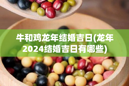 牛和鸡龙年结婚吉日(龙年2024结婚吉日有哪些)