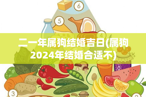 二一年属狗结婚吉日(属狗2024年结婚合适不)