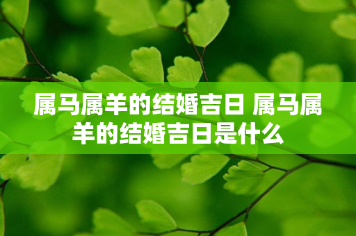 属马属羊的结婚吉日 属马属羊的结婚吉日是什么