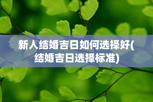 新人结婚吉日如何选择好(结婚吉日选择标准)