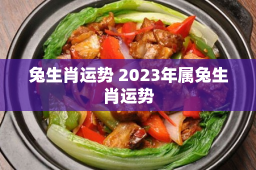 兔生肖运势 2023年属兔生肖运势