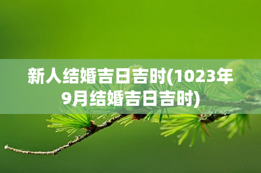 新人结婚吉日吉时(1023年9月结婚吉日吉时)