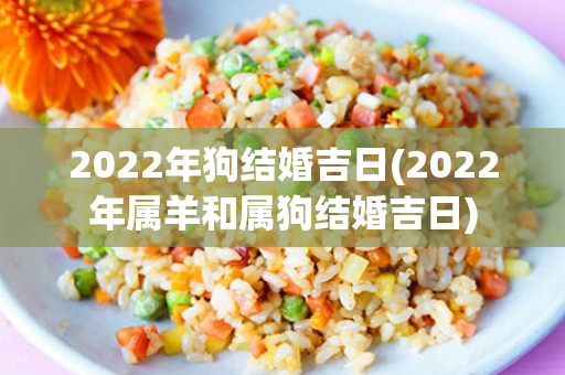 2022年狗结婚吉日(2022年属羊和属狗结婚吉日)