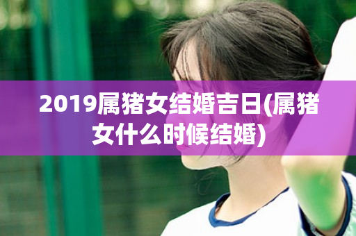 2019属猪女结婚吉日(属猪女什么时候结婚)