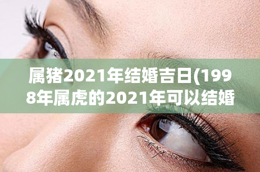 属猪2021年结婚吉日(1998年属虎的2021年可以结婚吗)