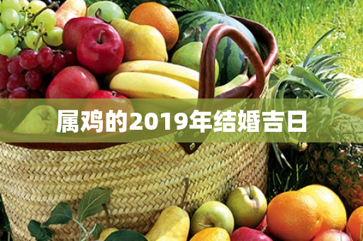 属鸡的2019年结婚吉日