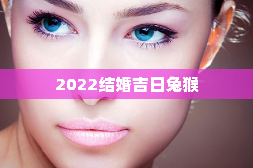 2022结婚吉日兔猴