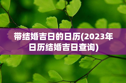 带结婚吉日的日历(2023年日历结婚吉日查询)