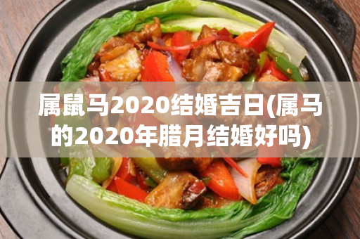 属鼠马2020结婚吉日(属马的2020年腊月结婚好吗)