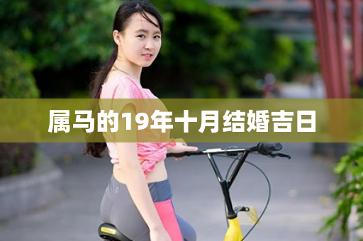 属马的19年十月结婚吉日