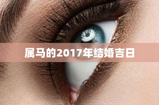 属马的2017年结婚吉日