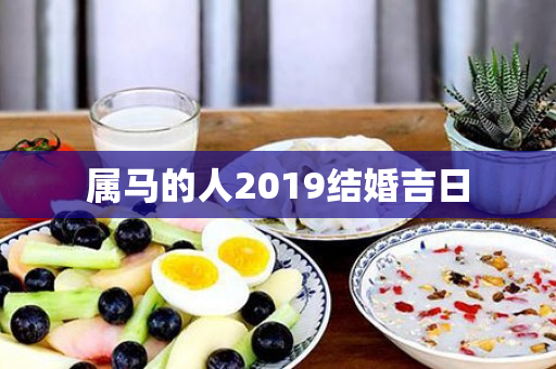 属马的人2019结婚吉日