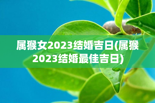 属猴女2023结婚吉日(属猴2023结婚最佳吉日)