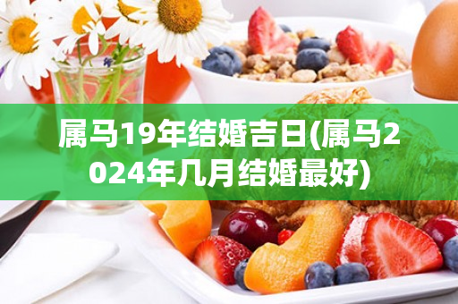 属马19年结婚吉日(属马2024年几月结婚最好)