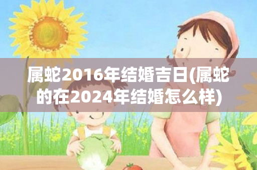 属蛇2016年结婚吉日(属蛇的在2024年结婚怎么样)