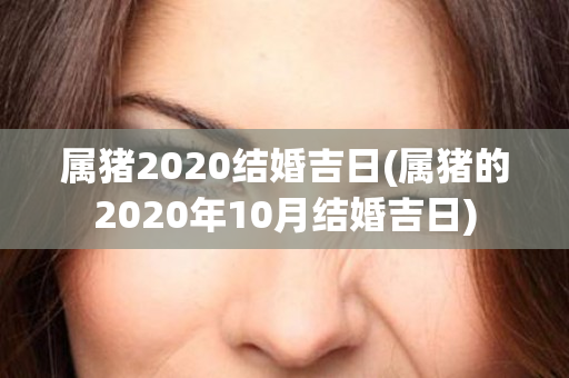 属猪2020结婚吉日(属猪的2020年10月结婚吉日)