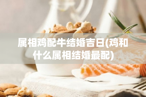 属相鸡配牛结婚吉日(鸡和什么属相结婚最配)