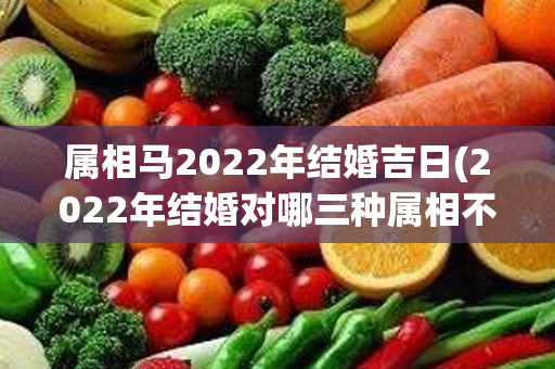 属相马2022年结婚吉日(2022年结婚对哪三种属相不利)