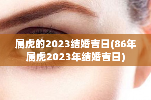 属虎的2023结婚吉日(86年属虎2023年结婚吉日)