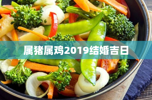 属猪属鸡2019结婚吉日