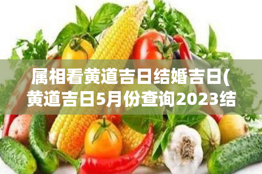 属相看黄道吉日结婚吉日(黄道吉日5月份查询2023结婚吉日)